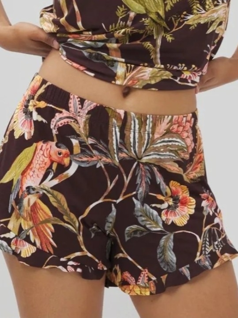 Soma Women's Floral Tropical Parot Dusco Elastic Waist Shorts -Size XL Nwt